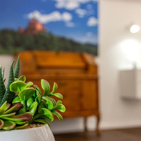 Righi Suite Apartment Bologna Ngoại thất bức ảnh